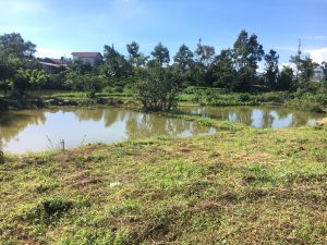 Bán 4 sào nghỉ dưỡng trung tâm Bảo Lộc hẻm Nguyễn Văn Cừ Lộc Phát Bảo Lộc