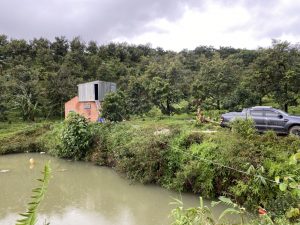 Bán 5 ha vườn cây ăn trái tại Thôn 5 Lộc Nam Bảo Lâm