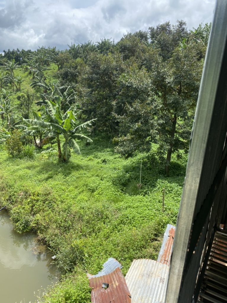 Bán 5 ha vườn cây ăn trái tại Thôn 5 Lộc Nam Bảo Lâm