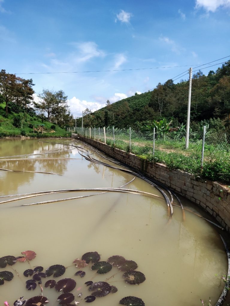 Bán 5 ha vườn cây ăn trái tại Thôn 5 Lộc Nam Bảo Lâm