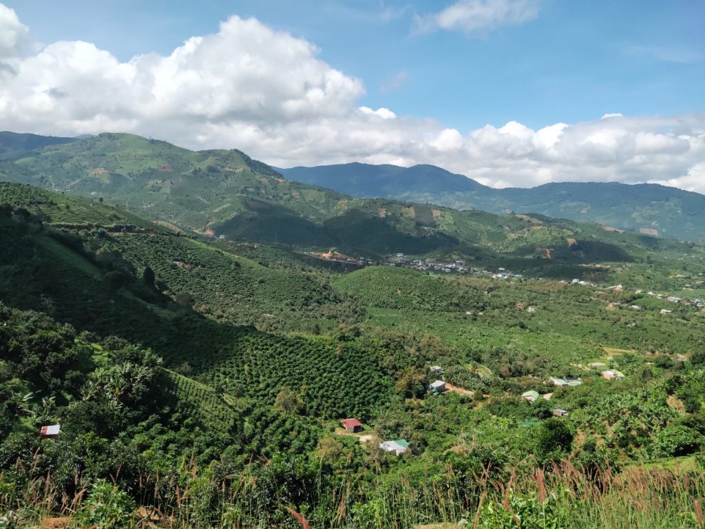 Bán 5 ha vườn cây ăn trái tại Thôn 5 Lộc Nam Bảo Lâm