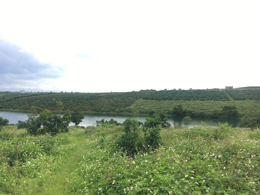 Bán 5,7 hecta giáp hồ Cánh Bướm Lộc Thắng Bảo Lâm Lâm Đồng