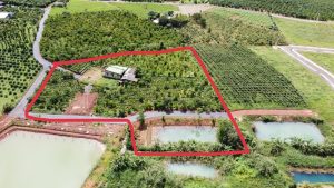 Bán 5.8 Sào vườn nghỉ dưỡng tại Dambri Bảo Lộc Lâm Đồng