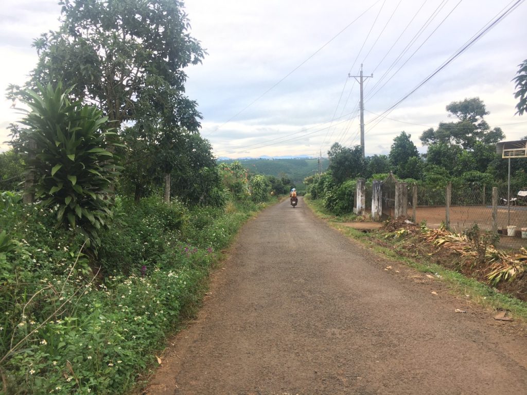 Bán 8,3 sào vườn cây ăn trái hẻm Nguyễn Văn Cừ Bảo Lâm Lâm Đồng