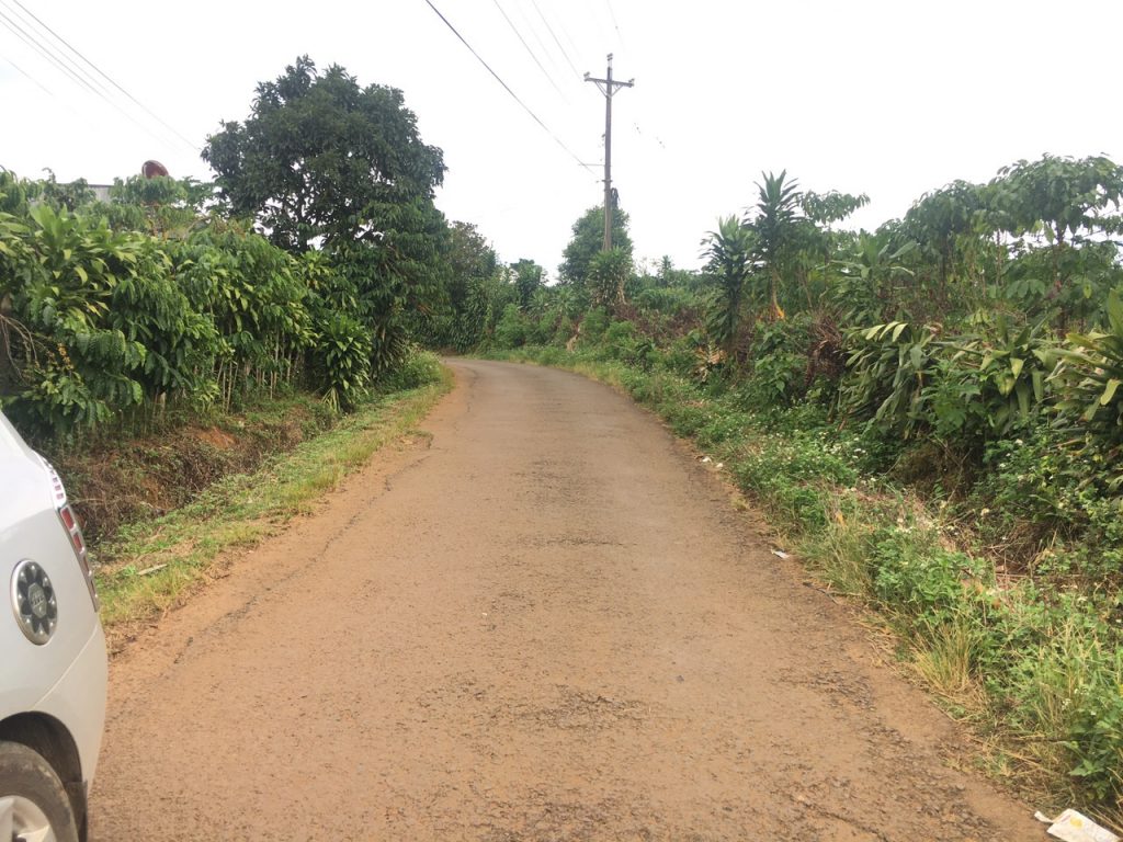 Bán 8,3 sào vườn cây ăn trái hẻm Nguyễn Văn Cừ Bảo Lâm Lâm Đồng