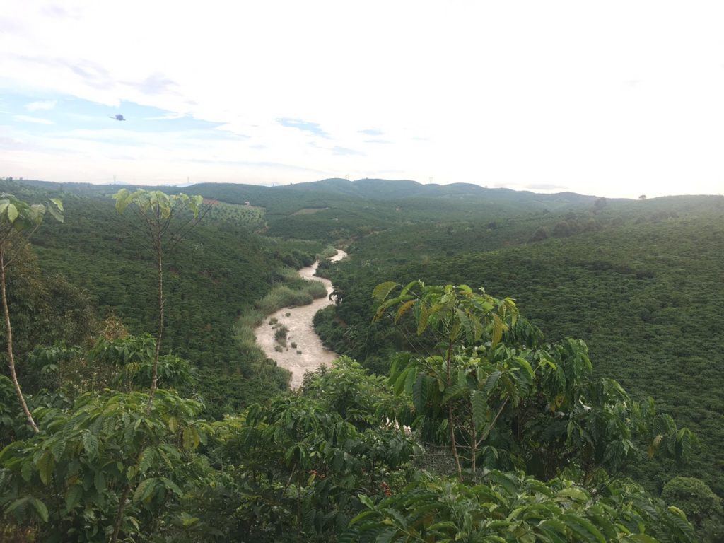 Bán 8,3 sào vườn cây ăn trái hẻm Nguyễn Văn Cừ Bảo Lâm Lâm Đồng