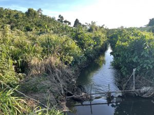 1,7 sào góc 2 mặt tiền hẻm Nguyễn Văn Cừ Lộc Phát Bảo Lộc