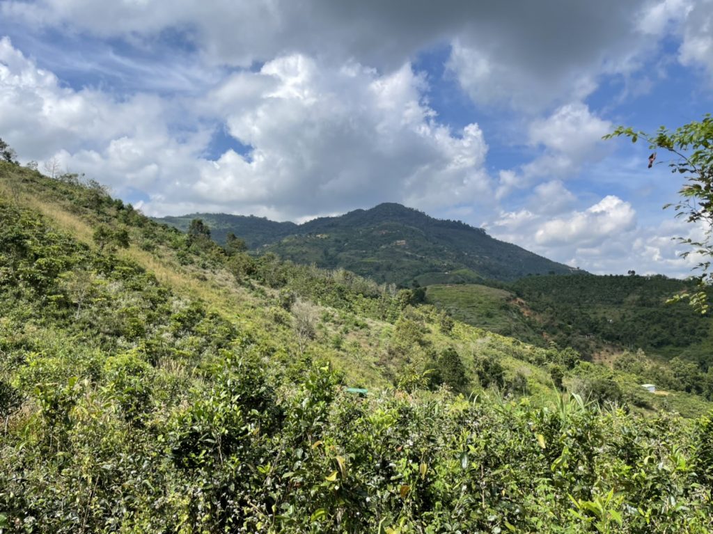 Bán 6,7 sào Thôn 12 Lộc Thành Bảo Lâm
