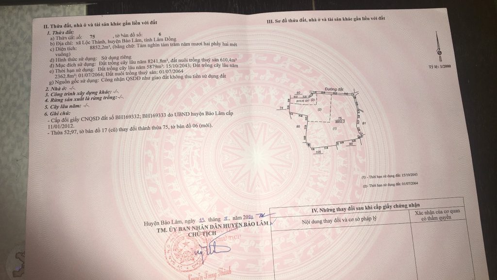 Bán 9 sào cây ăn trái hẻm Chi Lăng Lộc Thành