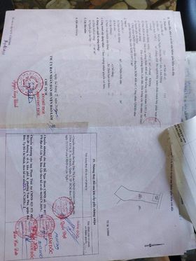 Bán 8,3 sào vườn cây ăn trái hẻm Nguyễn Văn Cừ Bảo Lâm Lâm Đồng