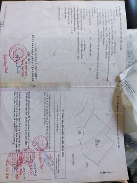 Bán 8,3 sào vườn cây ăn trái hẻm Nguyễn Văn Cừ Bảo Lâm Lâm Đồng