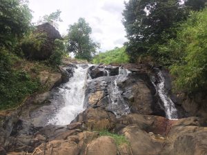 Bán 9,8 sào đất vườn Thác KMai Lộc Thành Bảo Lâm Lâm Đồng