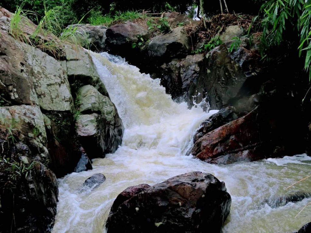 Bán 9,8 sào đất vườn Thác KMai Lộc Thành Bảo Lâm Lâm Đồng