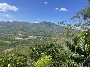 Bán 5ha Thôn 16 Lộc Thành Bảo Lâm Lâm Đồng