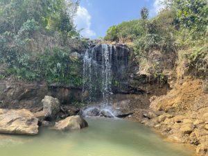 Bán 6,5 sào vườn suối thác hẻm Trần Khánh Dư Lộc Phát Bảo Lộc Lâm Đồng