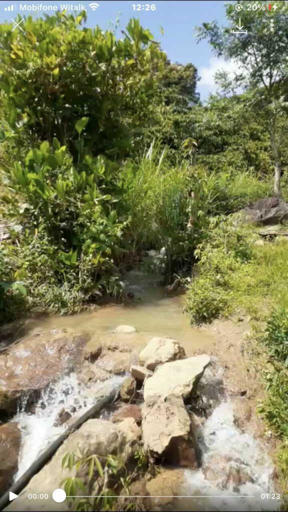 Bán 1 ha vườn cây ăn trái Thôn 15 Lộc Thành