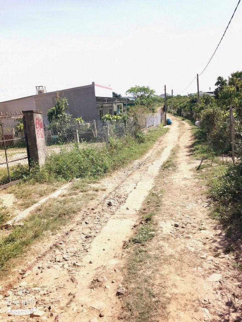 Bán 1 ha vườn cây ăn trái Thôn 15 Lộc Thành