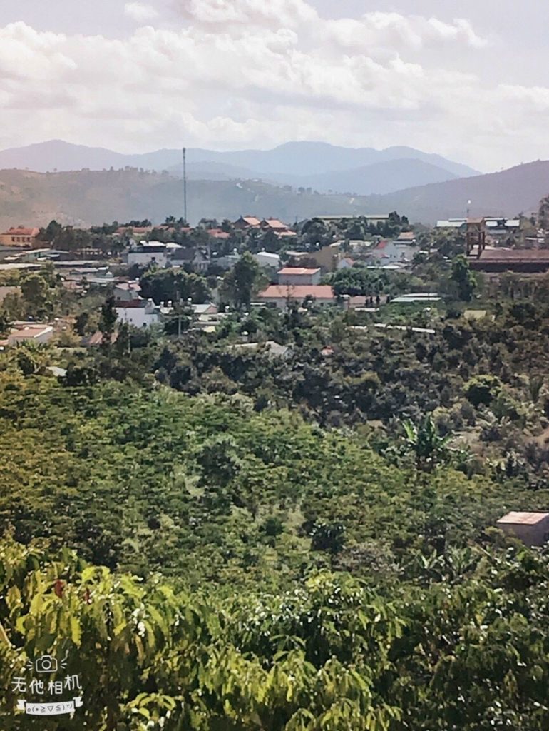 Bán 1 ha vườn cây ăn trái Thôn 15 Lộc Thành