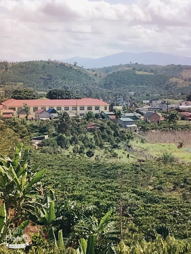 Bán 1 ha vườn cây ăn trái Thôn 15 Lộc Thành