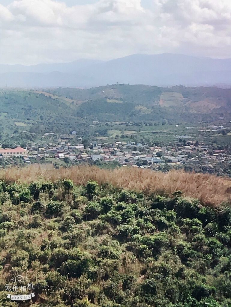 Bán 1 ha vườn cây ăn trái Thôn 15 Lộc Thành