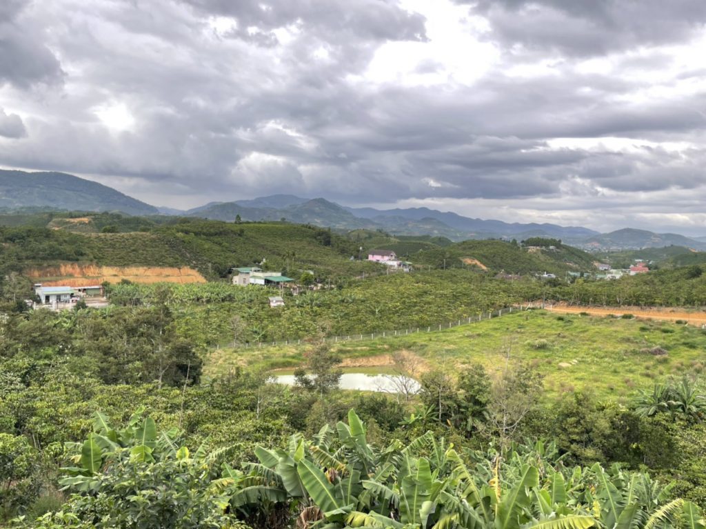 Bán 1ha đất nhà vườn BlaoSire Đại Lào Bảo Lộc Lâm Đồng