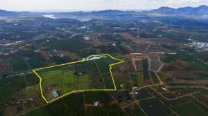 Bán 15 ha Thôn 11 Dambri Bảo Lộc Lâm Đồng