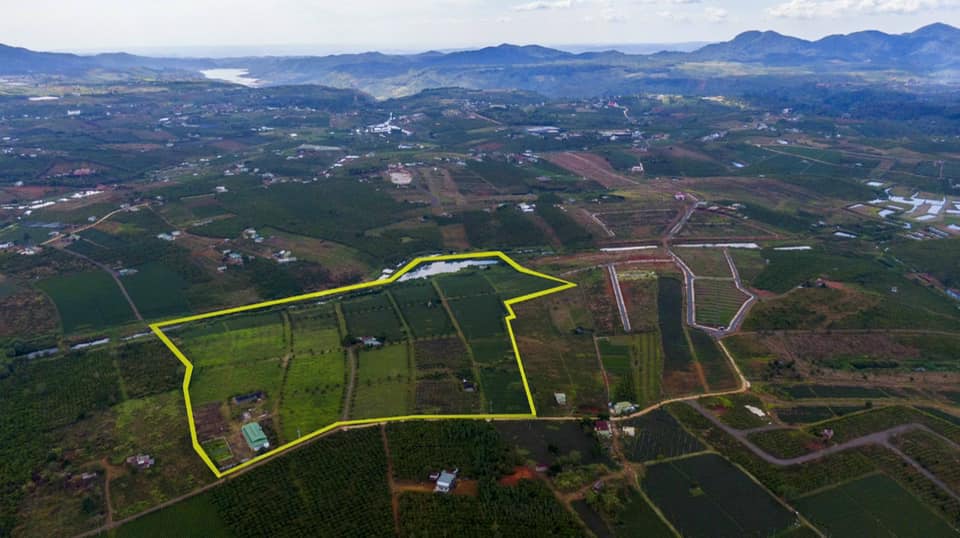Bán 15 ha Thôn 11 Dambri Bảo Lộc Lâm Đồng