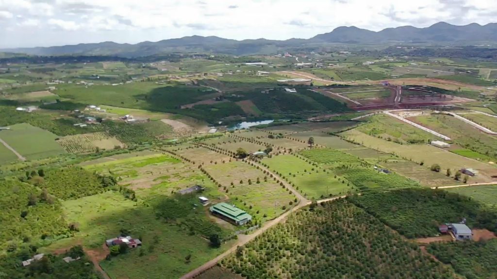 Bán 15 ha Thôn 11 Dambri Bảo Lộc Lâm Đồng