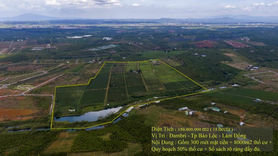Bán 15 ha Thôn 11 Dambri Bảo Lộc Lâm Đồng