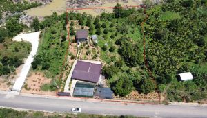 5,3 sào mặt tiền đường nhựa Thôn 4 Lộc Nam Bảo Lâm