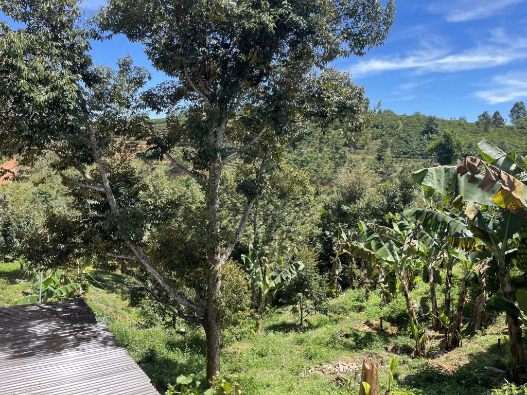 5,3 sào mặt tiền đường nhựa Thôn 4 Lộc Nam Bảo Lâm