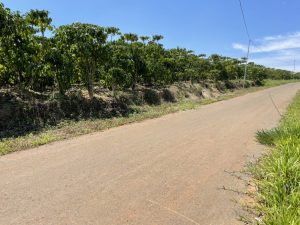 Bán 1 ha mặt tiền hẻm Lê Đình Chinh Lộc Thanh Bảo Lộc