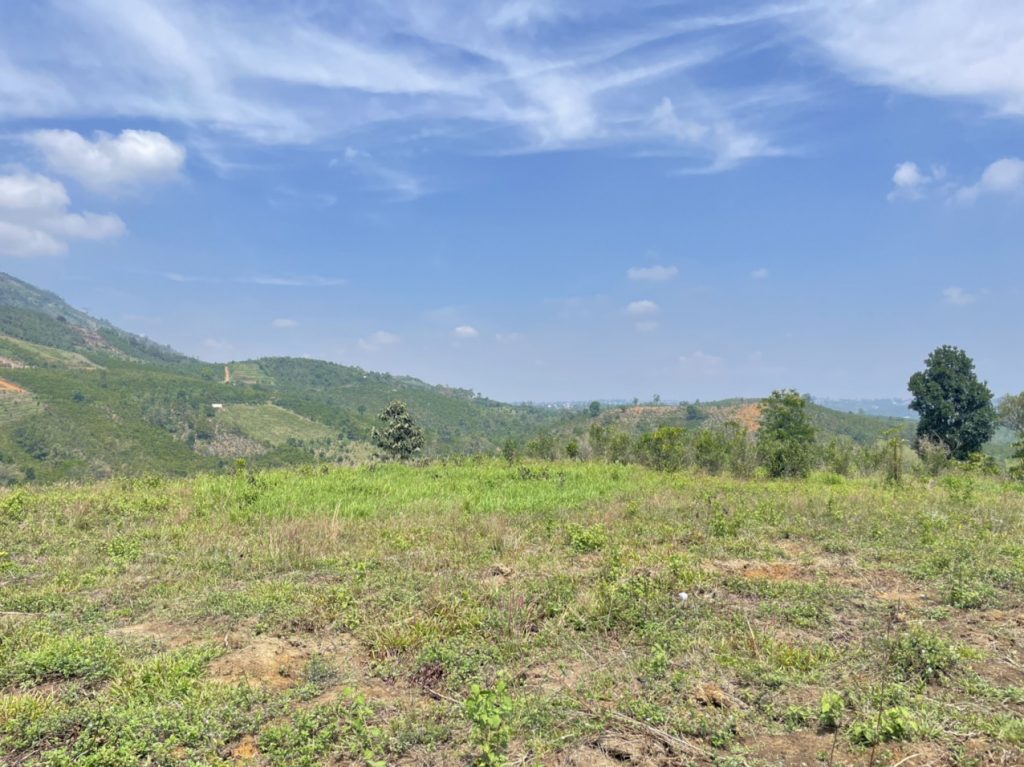 Bán 1ha Thôn 16 Lộc Thành Bảo Lâm Lâm Đồng