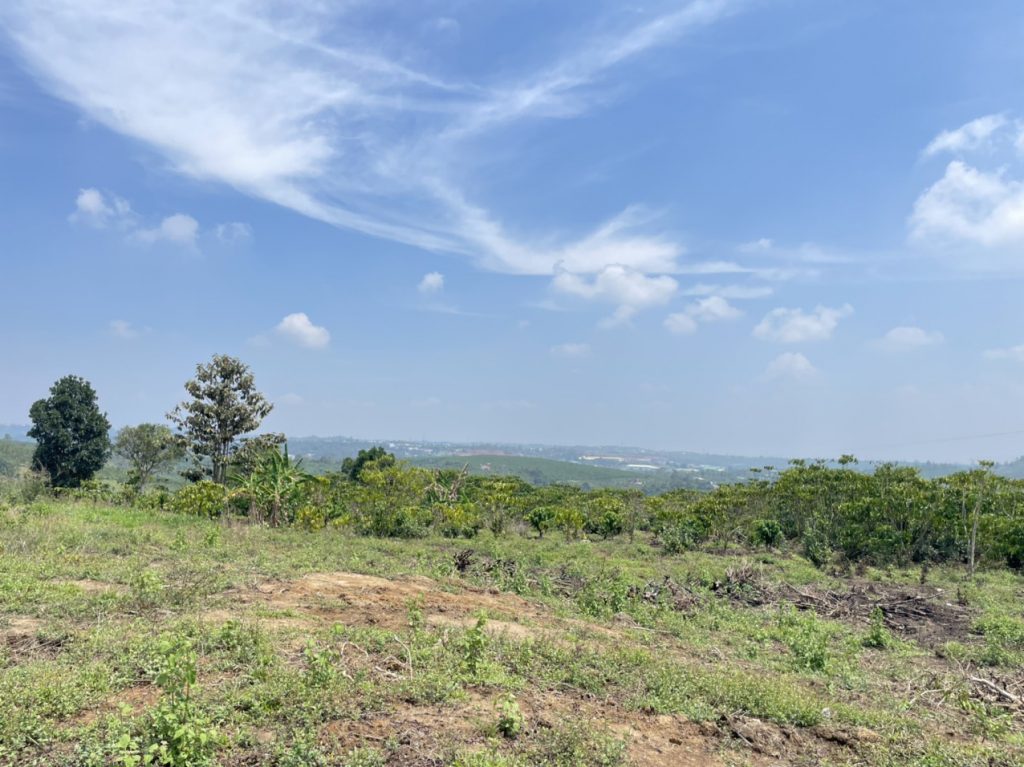 Bán 1ha Thôn 16 Lộc Thành Bảo Lâm Lâm Đồng