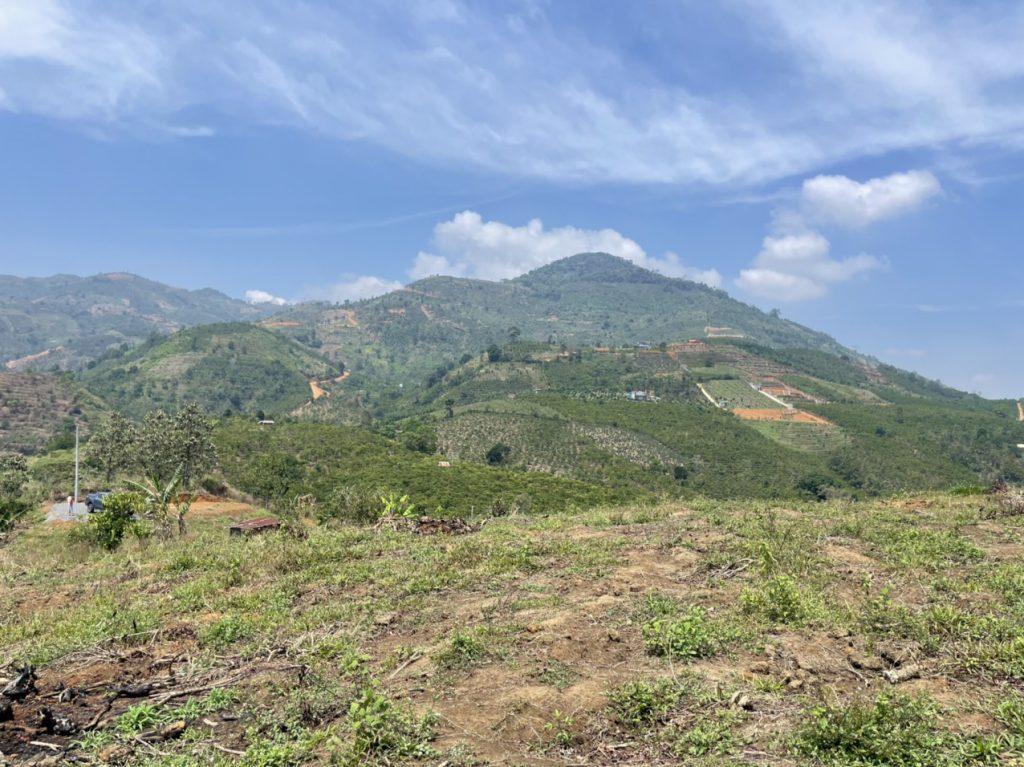 Bán 1ha Thôn 16 Lộc Thành Bảo Lâm Lâm Đồng