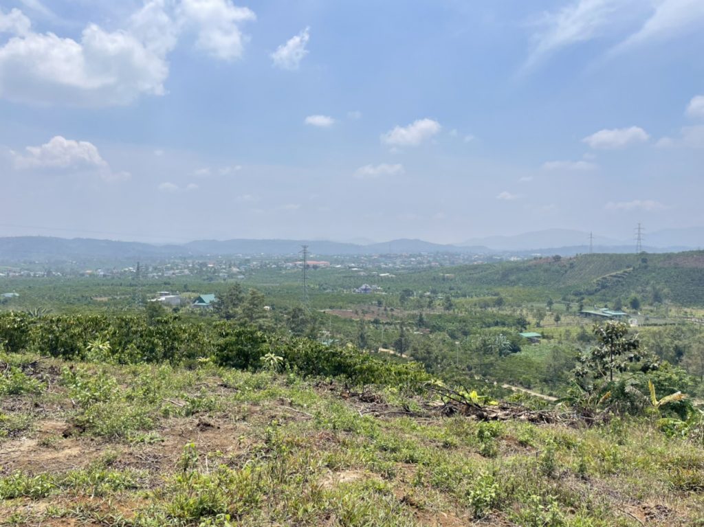 Bán 1ha Thôn 16 Lộc Thành Bảo Lâm Lâm Đồng