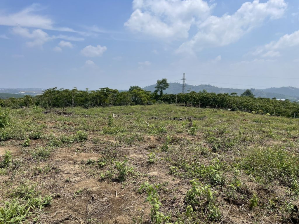 Bán 1ha Thôn 16 Lộc Thành Bảo Lâm Lâm Đồng