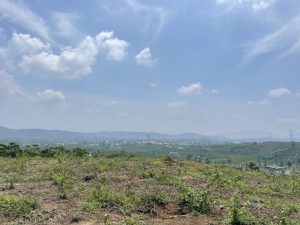 Bán 1ha Thôn 16 Lộc Thành Bảo Lâm Lâm Đồng