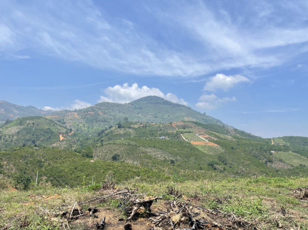 Bán 1ha Thôn 16 Lộc Thành Bảo Lâm Lâm Đồng