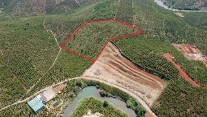 Bán 1,1 ha tại Lộc Ngãi Bảo Lâm Lâm Đồng