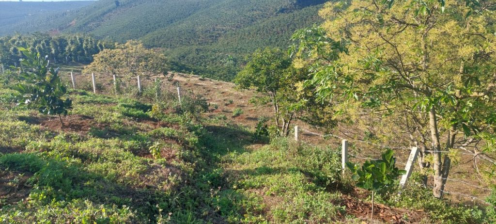 Bán 1,3 hecta Thôn 11 Lộc Ngãi Bảo Lâm Lâm Đồng