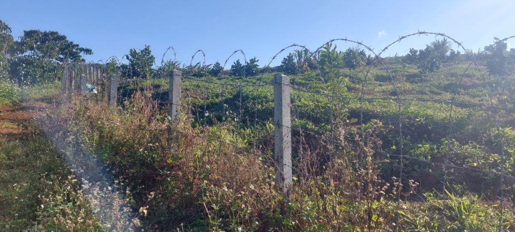 Bán 1,3 hecta Thôn 11 Lộc Ngãi Bảo Lâm Lâm Đồng