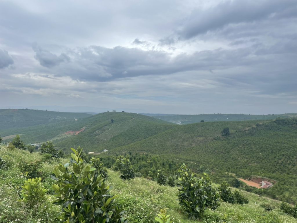 Bán 1,3 hecta Thôn 11 Lộc Ngãi Bảo Lâm Lâm Đồng