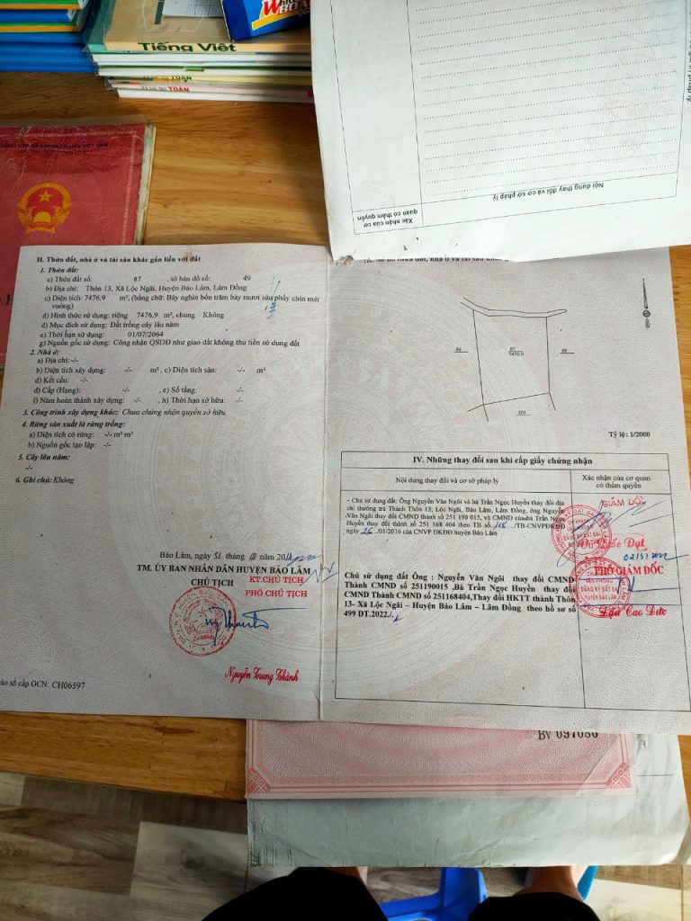 Bán 1,3 hecta Thôn 11 Lộc Ngãi Bảo Lâm Lâm Đồng