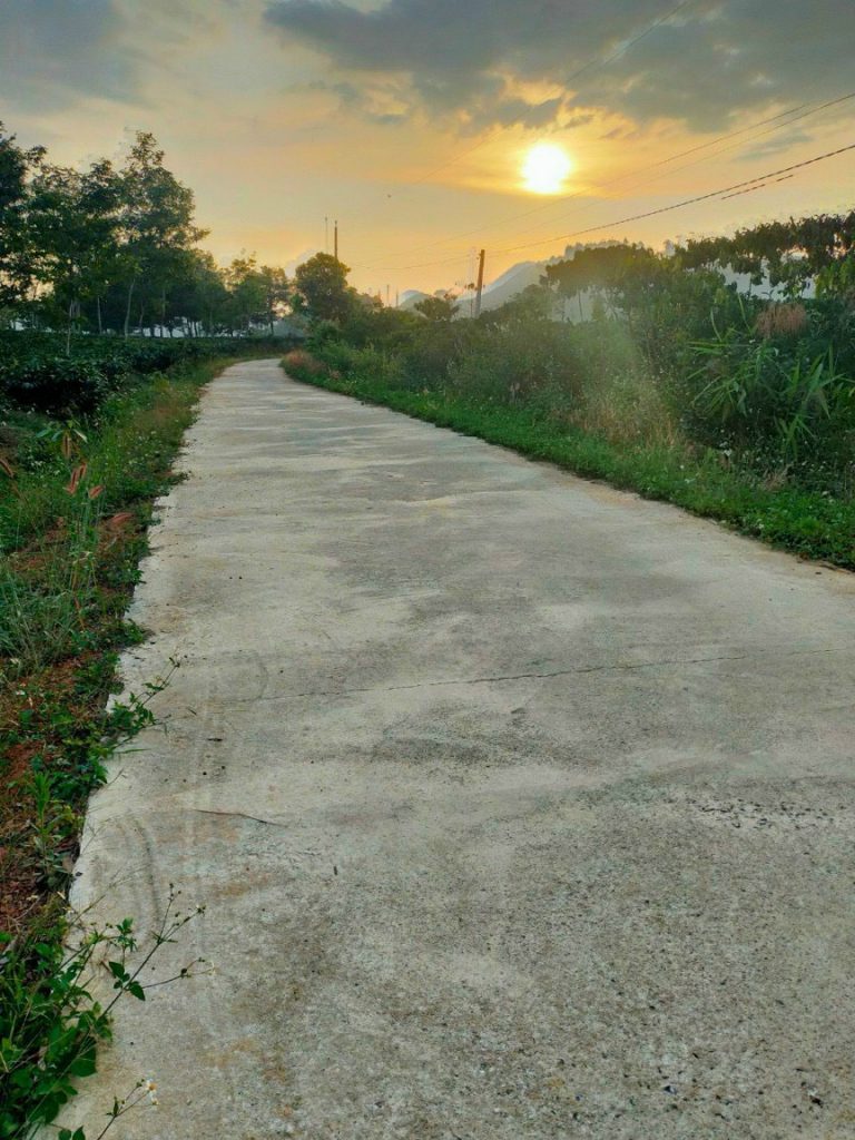 Bán 1,9 ha Thôn 4 Lộc Thành Bảo Lâm Lâm Đồng