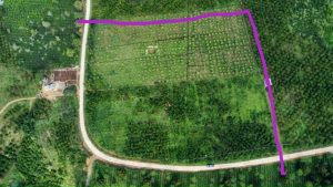 Bán 1,9 ha Thôn 4 Lộc Thành Bảo Lâm Lâm Đồng