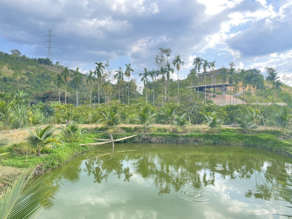 Bán nhà vườn góc 2 mặt tiền hẻm Quốc lộ 55 Lộc Thành Bảo Lâm Lâm Đồng