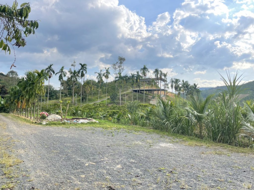 Bán nhà vườn góc 2 mặt tiền hẻm Quốc lộ 55 Lộc Thành Bảo Lâm Lâm Đồng