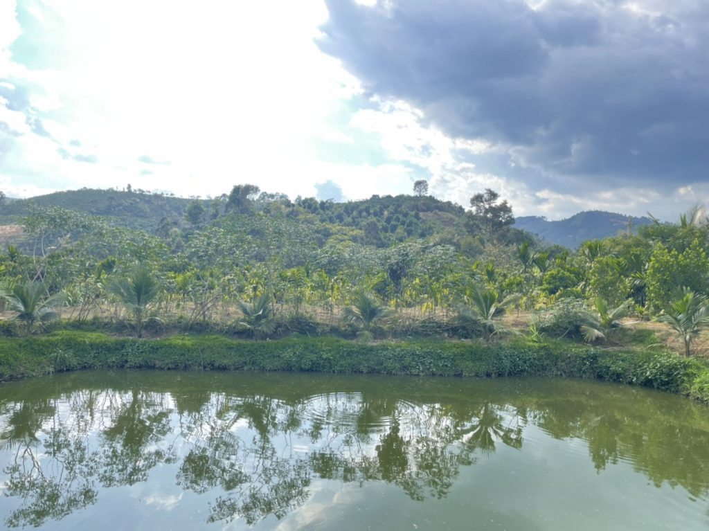 Bán nhà vườn góc 2 mặt tiền hẻm Quốc lộ 55 Lộc Thành Bảo Lâm Lâm Đồng