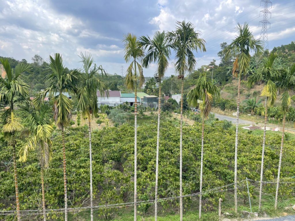 Bán nhà vườn góc 2 mặt tiền hẻm Quốc lộ 55 Lộc Thành Bảo Lâm Lâm Đồng